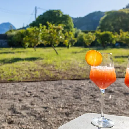 Corme Villa Pollença